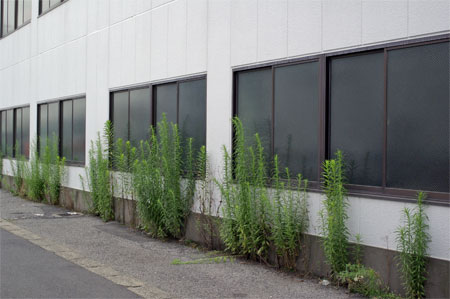 IGP3970.jpg